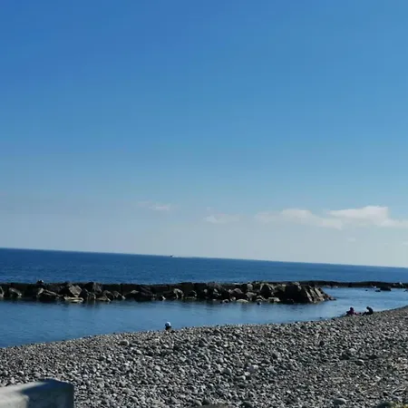 Sea Paradise 아파트